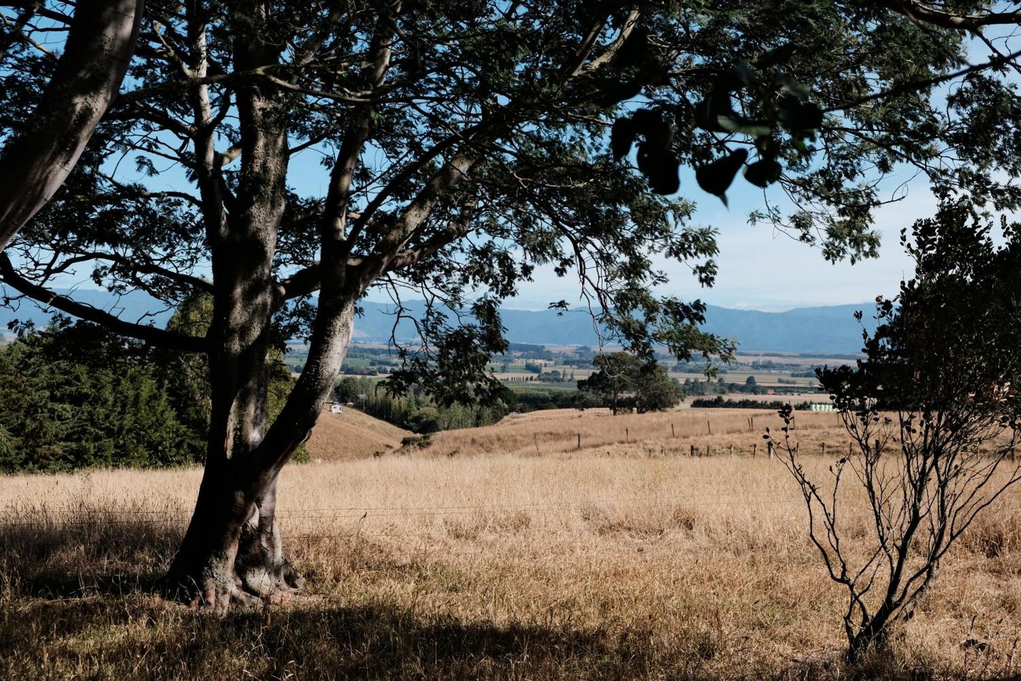 A Cabin With A Big View, Comfort And Tranquility, Close To Vines 마틴버러 외부 사진